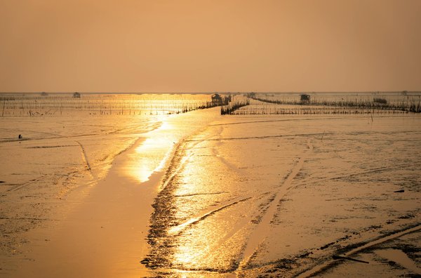 Voyages Au Long Cours