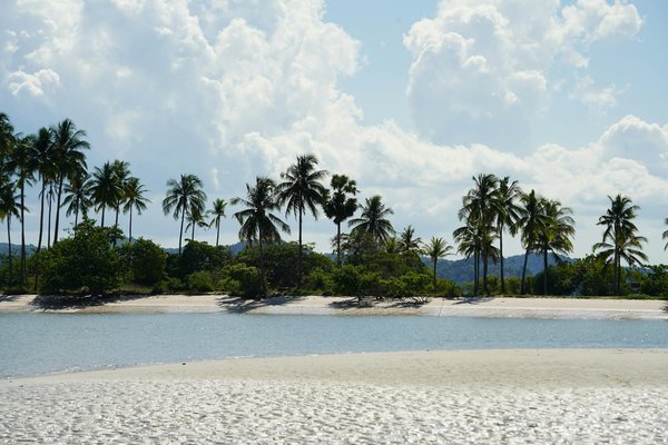 Où assister à des ateliers de fabrication de parfums en France?